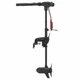 Лодочный электромотор Haswing Protruar 1.0 65 lbs (30 кг) 12V стойка 90 см - изображение 1