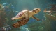 Gra PS5 Planet Zoo 2 (Blu-ray płyta) (5056208828293) - obraz 11