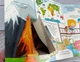Книжка з віконцями.Цікавинки чомусикам (9789664668566) - изображение 3