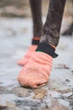 Шкарпетки для собак Protector light socks Non-stop dogwear Помаранчевий L - зображення 5