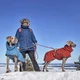 Тепла куртка для собак Hurtta Extreme Warmer III ECO Помаранчевий 25 - изображение 2