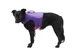 Рятувальний жилет для собак Ruffwear Float Coat™ Фіолетовий XXS (45103-530S2) - зображення 3