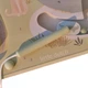 Magnetyczny labirynt Little Dutch Safari Friends (8713291774643) - obraz 4