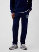 Спортивный костюм утепленный мужской GAP 936489941 2XL Синий (1161777736) - изображение 6