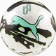 М'яч футбольний Puma Neymar JR Graphic Ball білий, чорний, м'ятний Уні 4 - зображення 2