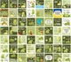 Картки для фотосесій малюка №2 Динозаврики, набір 30 двосторонніх 10х10 см карток - зображення 2