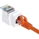 Модуль Biaze RJ-45 UTP Cat 5e безинструментальный 10 шт. Белый (TT25-10) - изображение 1