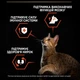 Сухой корм для стерилизованных кошек Purina Pro Plan Cat Adult Sterilised Vital Functions Salmon с лососем 400 (г) - изображение 3