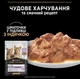 Вологий корм для кошенят Purina Pro Plan Kitten Healthy Start МУЛЬТИПАК з індичкою - 10x85 г - зображення 3