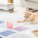 Интерактивная игрушка для котов 4,3см PetGravity, от USB / Смарт мячик с подсветкой для домашних животных - изображение 2