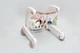 Развивающий коврик-ходунки 3 в 1 Beruty Baby Activity Beige (с пианино, ночником, от 0 до 24 месяцев) - изображение 5