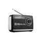 Портативный радиоприемник REAL-EL X-510 Black (EL121800003) - изображение 1