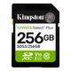 Карта пам'яті Kingston 256GB SDXC class 10 UHS-I V10 A1 Canvas Select Plus (SDS3/256GB) - зображення 1