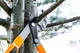 Сучкоріз контактний Neo Tools телескопічний 670-970мм (15-254) - изображение 5