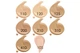 Тональна основа для обличчя Bourjois Always Fabulous 24H Extreme Resist SPF 20, 110 Light Vanilla, 30 мл - зображення 2