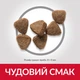 Сухой корм для котят Hill's SP Kitten с курицей 3 (кг) - изображение 3