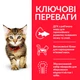 Сухой корм для котят Hill's SP Kitten с курицей 3 (кг) - изображение 4