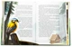 Книга Пастух цвіркунів - Мирослав Дочинець - зображення 3