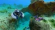 Gra Nintendo Switch Subnautica + Subnautica Below Zero (Kartridż) (722674840521) - obraz 4
