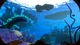 Gra Nintendo Switch Subnautica + Subnautica Below Zero (Kartridż) (722674840521) - obraz 5