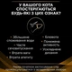Влажный корм для кошек при заболеваниях почек Purina Pro Plan Veterinary Diets NF - Renal Function Feline 195 г - изображение 4