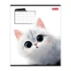 Зошит учнівський Little cat 1B 768736 12 аркушів Різнокольоровий shop (4823133108933) - изображение 5