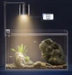 Светильник для аквариума точечный LED черный Yee Spotlight 5,3 Вт - изображение 5