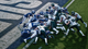 Madden NFL 27 PS5 (5030935125313) - зображення 2
