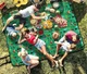 Коврик для пикника Naturehike NH19D024-Z 200х180 см полиэстер - изображение 5