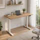 Стол Space 2 электрической регулировкой высоты Ferrum-decor 75x135x67 Белый металл ДСП Дуб Евок Прибрежный 16 мм (SPACE2036) - изображение 5