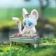 Фігурка-сюрприз 10/10 Toys Fabulous Beasts Divine Beast Feeding (QWYS801) - зображення 9