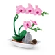 Набор-сюрприз Zuru Mini Brands Botanical Garden, 77559GQ1 - изображение 6