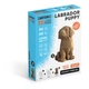 Картонный конструктор Cartonic 3D Puzzle Labrador Puppy, CARTMNLABRA - изображение 2