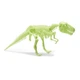 Набор для исследования Kosmos Glow in the Dark T. Rex (укр) ,617219 - изображение 2