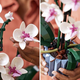 Конструктор Orchid (модель 10311) - зображення 4