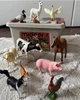 Набір реалістичних фігурок Ферма (11 шт) Mideer Toys MD2263 - зображення 2