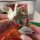Набір реалістичних фігурок Ферма (11 шт) Mideer Toys MD2263 - зображення 5