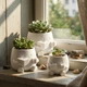 Кашпо 3D More Книголюб 8.4x8.8x5.9 см 100 мл Белый - изображение 5