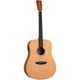 Электроакустическая гитара Tanglewood TR5 E (38684) - изображение 1