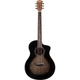 Электроакустическая гитара Washburn Bts9Vcech-D-U (41970) - изображение 1