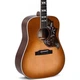 Электроакустическая гитара Sigma SG Series DM-SG5 Fishman Sonitone (31657) - изображение 2