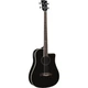 Электроакустическая бас-гитара Eko NXT Bass B100ce See Thru Black (34224) - изображение 1