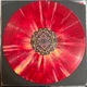 Вінілова платівка C418 - Minecraft Volume Beta (Vinyl, LP, Album, Reissue, Repress) - изображение 3
