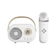 Колонка Ретро-Караоке C20 PLUS с беспроводным микрофоном Bluetooth, белый (343434356355353) - изображение 6