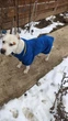 Флісовий светр для собак теплий зимовий одяг для великих собак 3XL синій (PET-3XLB) - зображення 4
