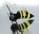 Стеклянная бусина 41*17 мм отв: 2 мм № 7549 ISTA Lampwork - изображение 2