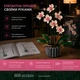 Конструктор Орхідея Botanical Collection, 608 деталей, 18+, декоративна квітка у вазоні - зображення 3