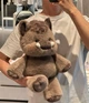 Бегающая игрушка мягкий Кабанчик 45 см running plush плюшевый кабан механический бег с помощью движения лапок runcap45 - изображение 4