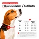 Ошейник для собак средних пород WAUDOG Waterproof, ментоловый, свето-накопительный (светится в темноте) Collartex, QR-паспорт, металлическая пряжка-фастекс, ширина 20 мм, длина 28–40 см, размер M, арт. 2787 - изображение 2