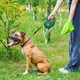 Повідець-рулетка для собак WAUDOG R-leash L стрічковий 5 м до 40 кг зелений зі світловідбиваючою стрічкою та контейнером боксом для прибирання сміттєвих пакетів пластиковий повідець для великих та середніх порід для вигулу - зображення 6